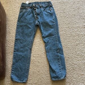 Levi's 501 Men's Straight Blue Jeans